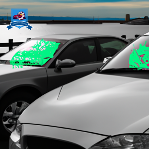 An image of two cars parked in front of the scenic Everett waterfront, with one car displaying a cracked windshield and the other with a fresh car insurance sticker on the windshield